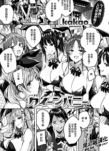 chinese manga Queen Bunny, big breasts , bunny girl  bunny-girl