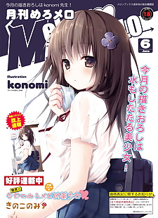  manga MelonBooks Monthly MelomELO Jun.2014, full color , artbook  All