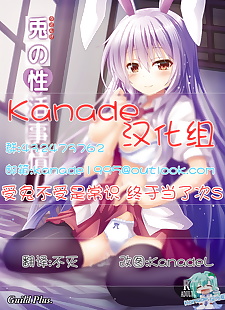 chinesische manga udonge keine seikatsu jijou, reisen udongein inaba , full color , touhou project 
