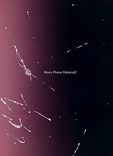 anglais manga Lune phase matériel 2, scathach , elizabeth bathory , full color , group 