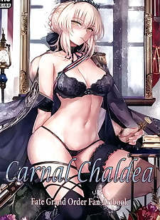 chinese manga Carnal Chaldea, scathach , saber alter , full color  blowjob