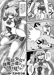 chinesische manga mahou shoujo wa inma' kaizou keine Yume o.., bondage , stockings 