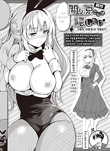 الكورية المانجا sekigahara سان وا tasshitai ??????.., big breasts , big ass 