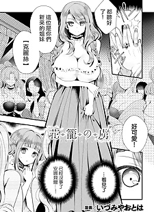 chinese manga Hanakago no Toriko, anal , big breasts 
